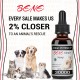 [Not Available in UK] BENEHEMP Oil for Dogs & Cats - 30000mg -100% A Organic Pet Hemp Oil 