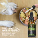 [Not Available in UK] Broad Spectrum Hemp oil for Pets, ProtoHemp Hemp oil for Dogs 1500mg, Great for Pain Relief