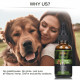 [Not Available in UK] Broad Spectrum Hemp oil for Pets, ProtoHemp Hemp oil for Dogs 1500mg, Great for Pain Relief