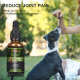 [Not Available in UK] Broad Spectrum Hemp oil for Pets, ProtoHemp Hemp oil for Dogs 1500mg, Great for Pain Relief