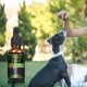 [Not Available in UK] Proto Broad Spectrum Hemp oil for Dogs, 30000mg, Great for Pain Relief , Anxiety, Calming, Pet Recovery and Sleep